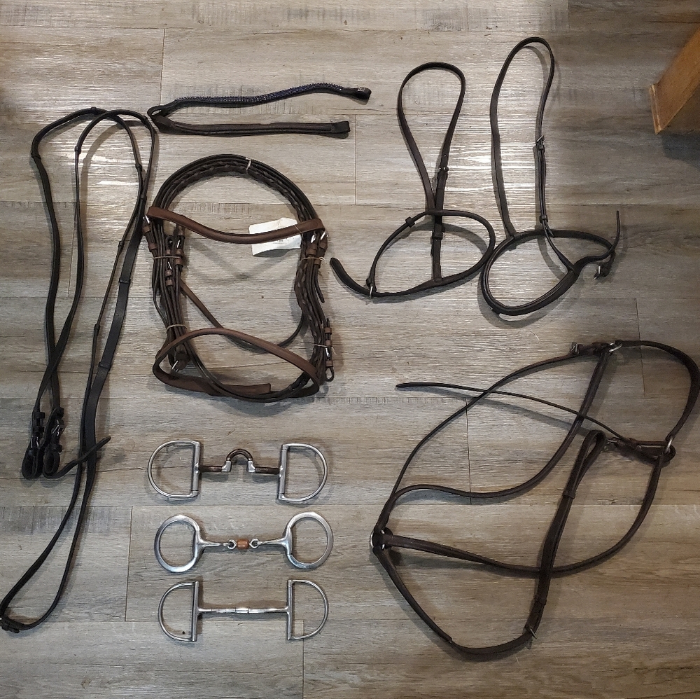 Horse tack - bridle, bits, reins and more